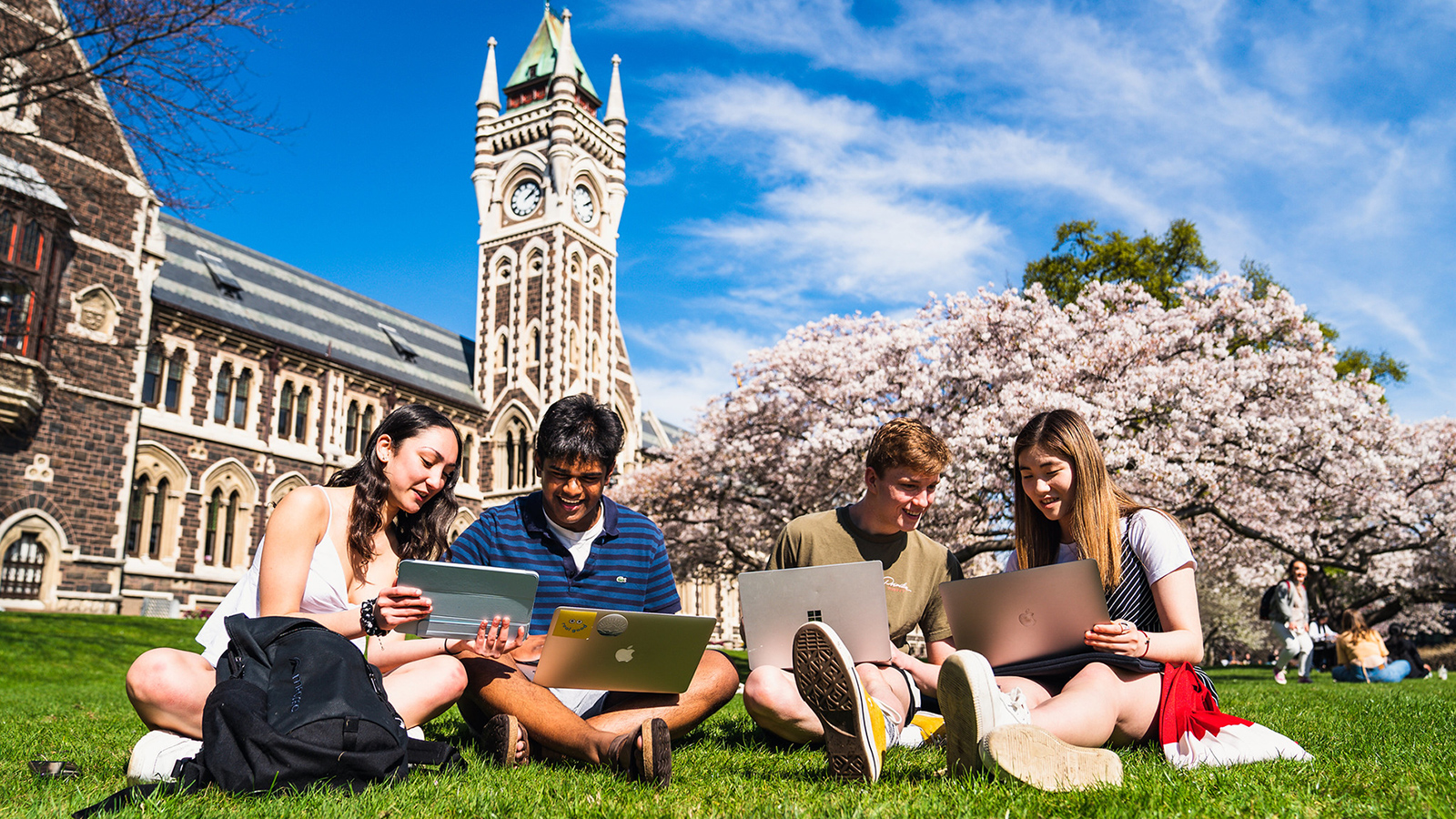 Reason To Study In New Zealand